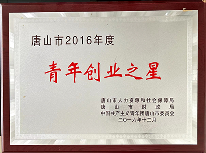 第六届中国创新大赛荣誉证书